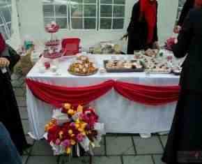 Shaaban-2013-Gronland[01]