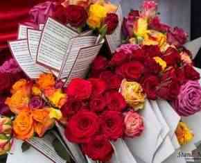 Shaaban-2013-Gronland[02]