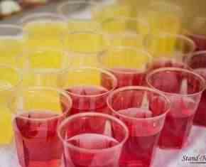 Shaaban-2013-Gronland[07]