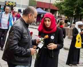 Shaaban-2013-Gronland[15]