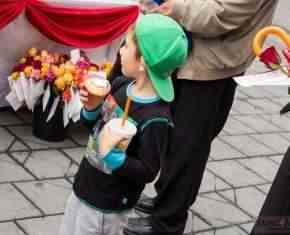 Shaaban-2013-Gronland[17]