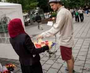 Shaaban-2013-Gronland[18]