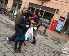 Shaaban-2013-Gronland[19]