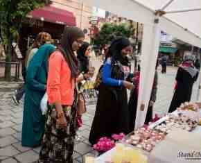 Shaaban-2013-Gronland[20]