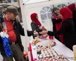 Shaaban-2013-Gronland[24]