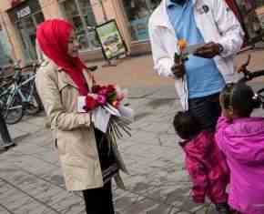 Shaaban-2013-Gronland[26]