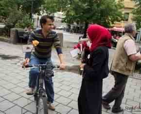 Shaaban-2013-Gronland[28]