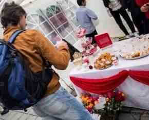 Shaaban-2013-Gronland[30]