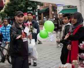 Shaaban-2013-Gronland[33]