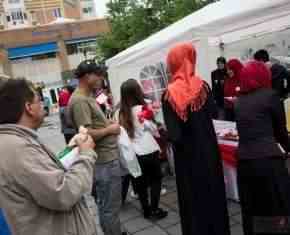 Shaaban-2013-Gronland[34]