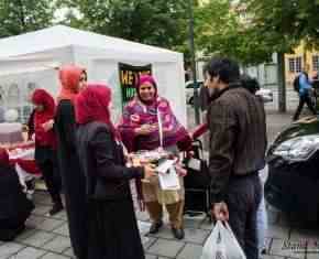 Shaaban-2013-Gronland[35]