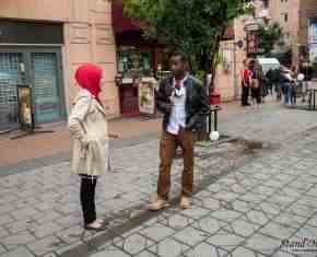 Shaaban-2013-Gronland[36]