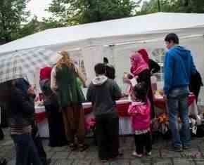 Shaaban-2013-Gronland[38]