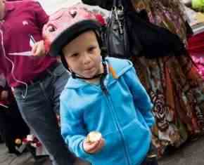 Shaaban-2013-Gronland[43]