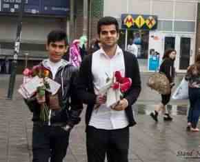 Shaaban-2013-Gronland[47]