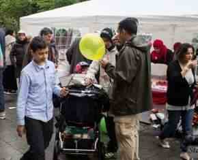 Shaaban-2013-Gronland[49]