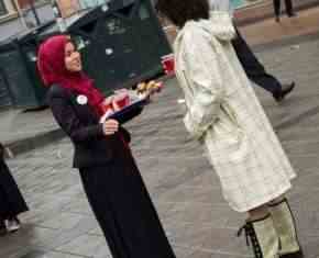 Shaaban-2013-Gronland[51]