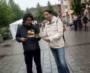 Shaaban-2013-Gronland[52]