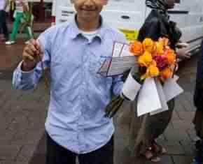 Shaaban-2013-Gronland[53]