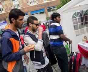 Shaaban-2013-Gronland[56]