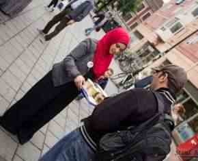 Shaaban-2013-Gronland[64]