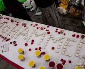 Shaaban-2013-Gronland[66]