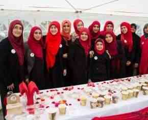 Shaaban-2013-Gronland[68]