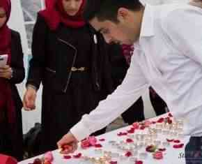 Shaaban-2013-Gronland[74]