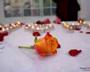 Shaaban-2013-Gronland[75]