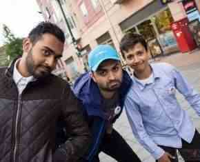 Shaaban-2013-Gronland[78]